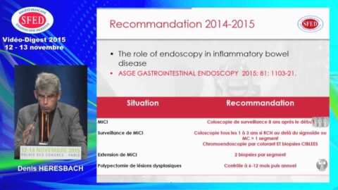 Les recommandations incontournables en endoscopie digestive en 2014-2015 (vidéo de l'intervention)