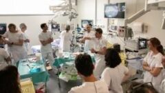 Curriculum Dissection Sous-Muqueuse du lundi 13 mai au vendredi 17 mai à Limoges