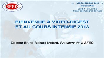 Introduction à Vidéo-Digest 2013