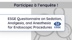 ESGE Questionnaire on Sedation, Analgesia, and Anesthesia for Endoscopic Procedures