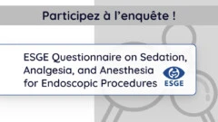 ESGE Questionnaire on Sedation, Analgesia, and Anesthesia for Endoscopic Procedures
