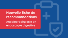 Nouvelle fiche de recommandations !