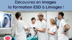La formation ESD à Limoges en images !