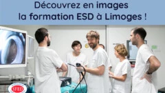 La formation ESD à Limoges en images !
