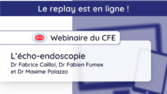 Replay du webinaire du CFE du jeudi 13 juin