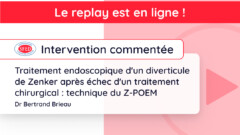 Replay de l’intervention commentée du jeudi 18 juillet
