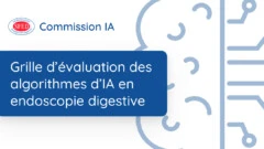 Grille d’évaluation des algorithmes d’IA en endoscopie digestive
