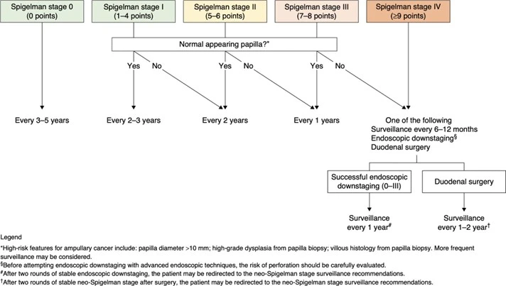 Schéma représentant le Score de Spigelman adapté à la présence d’un ampullome