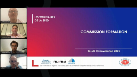 Copie d'écran du replay du webinaire de la commission formation